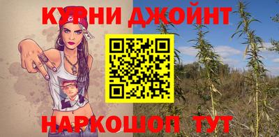 apvp Краснодар