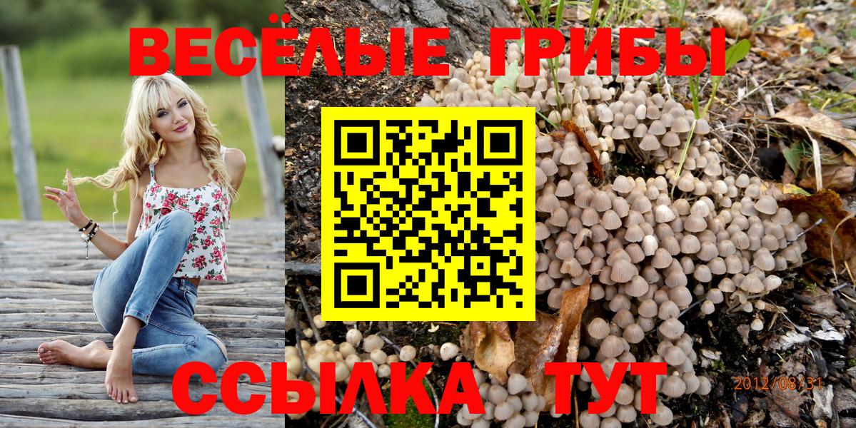 Когалым  Галлюциногенные грибы GOLDEN TEACHER  Вход с VPN  Псилоцибиновые грибы мицелий 